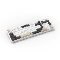Acer-222 embr, ultrabrillante