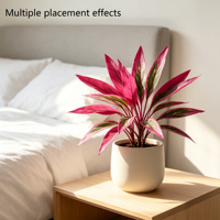 Vente en gros usine : Dracaena artificielle en plastique 58 cm, feuilles effet film rose et vert, tige en fer, pour décoration intérieure et événements (sans pot)