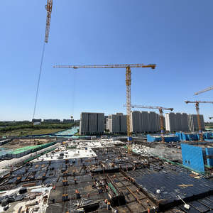 Grue à tour à tête plate DAHAN QTZ500(8530) avec garantie d'un an, haute qualité, capacité de 25 tonnes, hauteur maximale de 350 m, moment de 500 t.m et moteur - Product Image 2