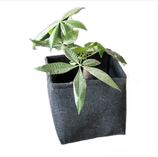 Grey scuro