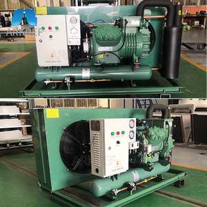 ARKREF HVAC Refrigeração <span class=keywords><strong>Bitzer</strong></span> Compressor Unidade condensação refrigerada a ar