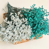 Rumput Kristal Awet untuk Proyek DIY, Rangkaian Bunga Caspea Ukuran Khusus, Pernikahan, Wisuda, Bahan Buket Rumah Tangga