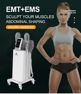 Estimulador Muscular 4 en 1 con 2 Manijas, Máquina de Fitness para Quema de Grasa de Alta Intensidad y Moldeamiento Corporal, Equipo de Belleza - Product Image 6