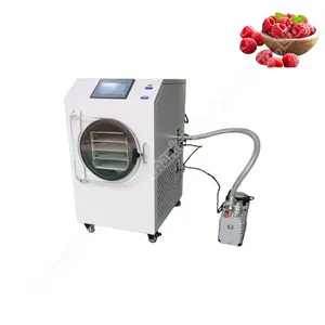 Freeze Dryer Fd Machine para frutas Freeze Dryer Máquina de secado de alimentos Home Vacuum Freeze Dryer Industrial