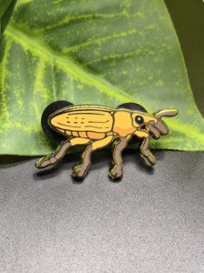 Collection de broches en émail sur le thème des insectes naturels, vente en gros - Product Image 3