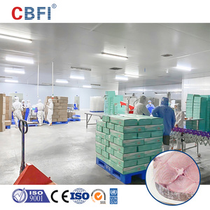 Sistema de Refrigeración y Almacenamiento CBFI, Cámaras Frigoríficas de Alta <span class=keywords><strong>Calidad</strong></span>, Congelador Industrial para Mariscos - Product Image 4