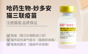 วัคซีนสำหรับ<span class=keywords><strong>แมว</strong></span>: Mydovax Cevas Myou-S Zoetis PureVax - สำหรับป้องกันโรคหวัดไวรัสในแมวและโรค<span class=keywords><strong>หลอดลม</strong></span><span class=keywords><strong>อักเสบ</strong></span>ใน<span class=keywords><strong>แมว</strong></span> - Product Image 4