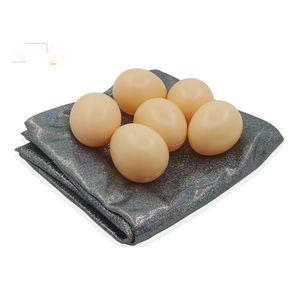 Close Up Trucco Magico Palcoscenico Prop Uovo Sacchetto con Le Uova - Product Image 4