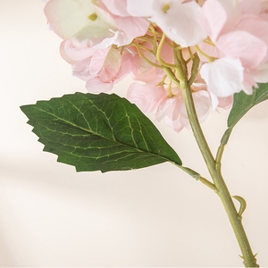 Vente en gros d'apparence véritable hortensia en soie, fleur d'hortensia artificielle éternelle bon marché pour la décoration de la maison de mariage - Product Image 3