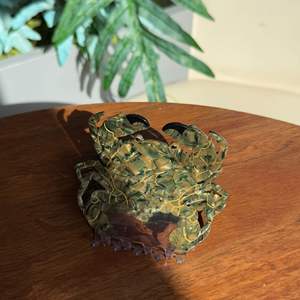 Pinces à griffes en acétate <span class=keywords><strong>de</strong></span> <span class=keywords><strong>crabe</strong></span> <span class=keywords><strong>de</strong></span> dessin animé pinces à griffes <span class=keywords><strong>de</strong></span> poisson tropical pinces à cheveux biologiques marines nouvellement conçues - Product Image 4