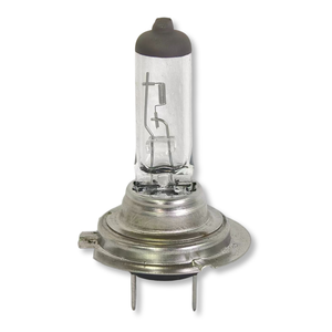 Hiệu Suất Cao Nhà Máy H7 12V 55W Rõ Ràng Thủy Tinh Thạch Anh Halogen Xe Bóng Đèn 4500K - Product Image 6