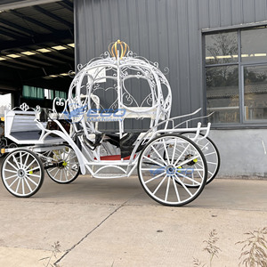 Carrozas de Caballos Eléctricas Modelo 2026 de Gran Venta, Carruajes Reales y Transporte Especial Tirado por Caballos en Venta - Product Image 5