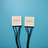 Module Peltier thermoélectrique 23x23mm pour téléphone portable, dissipateur thermique semi-conducteur TES107102 TES107103 TES107104