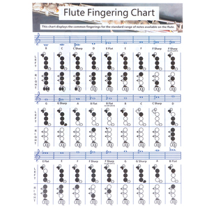 Diagrama de <span class=keywords><strong>acordes</strong></span> <span class=keywords><strong>para</strong></span> <span class=keywords><strong>flauta</strong></span>, práctica <span class=keywords><strong>para</strong></span> principiantes, material didáctico y accesorios <span class=keywords><strong>para</strong></span> instrumentos S (28x21cm) - Product Image 1