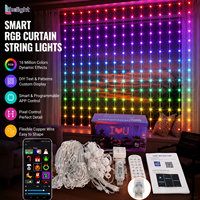 Guirlande lumineuse à LED mini rideau 400 pixels RGB 5V WS2811 SK6812 avec contrôle par application pour affichage de texte DIY intérieur/extérieur/patio