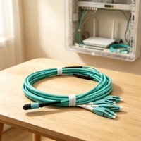 Cable de Conexión de Fibra Óptica LSZH 10G MPO-LC OM4 Multimodo de 8 Núcleos para Centro de Datos
