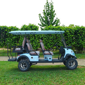2025 इंद्रधनुष गर्म बिक्री उत्पाद 72 vलॉट गोल्फ कार्ट 6 सीटर गोल्फ कार्ट इलेक्ट्रिक क्लब गोल्फ कार - Product Image 6