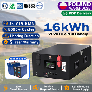 Module de batterie lithium 16 kWh monté sur rack, 51,2 V 314 Ah LiFePO4, hybride, avec BMS RS485 CAN JK V19, pour système solaire, en stock en Pologne - Product Image 1
