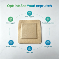 Patch médical jetable aux herbes et infrarouge lointain pour le soulagement des douleurs au cou, au genou, au dos et aux articulations – Pansement adhésif sur mesure pour le soulagement des douleurs corporelles