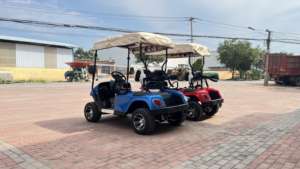 Voiture de golf électrique au prix le plus bas voiture de golf 4 places mini voiture de golf essence - Product Image 2