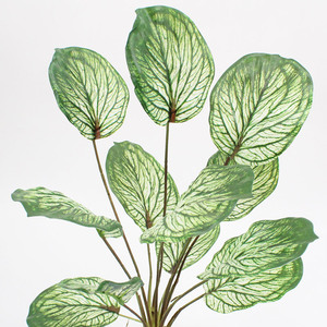 ใบต้นแอปเปิ้ลประดิษฐ์แบบมัดรวม ต้นไม้สีเขียวตกแต่งห้างสรรพสินค้า ใบต้นคาลาเทียสำหรับตกแต่งบ้าน ห้องตัวอย่าง จัดสวนจำลอง สมจริงสูง - Product Image 1