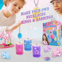 Fabricant de kits d'apprentissage ODM/OEM BIG BANG BEAUTY |   Kit de culture de cristaux pour la fabrication de bijoux STEAM pour les cours de chimie et d'artisanat à l'école