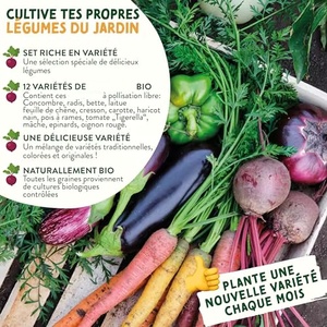 VegetableKits - Mix Pronto da Piantare - 12 Deliziose Varietà di Ortaggi Biologici - Terra <span class=keywords><strong>per</strong></span> Giardino e Vasi - Product Image 6