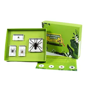 Натуральный паук, набор образцов, прозрачная смола, подарки на день рождения, пауки, поделки для детей
