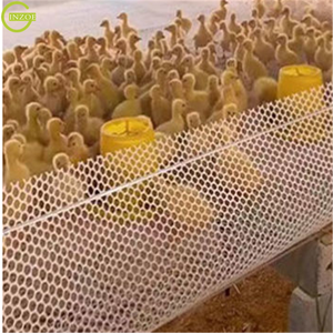 Filet plat en plastique à faible coût de 500 g/m² pour l'extérieur - Product Image 6