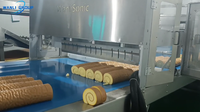 Équipement de découpe de gâteaux roulés à ultrasons Wanlisonic, équipement de découpe de gâteaux roulés à la crème