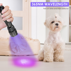 Đèn Đen Uv 3W 365Nm 395Nm Kính Đen Đèn Pin Sạc Được Đèn Pin Để Phát Hiện Bọ Cạp Bằng Nhựa - Product Image 1