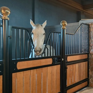 ที่กำบังม้าสไตล์ยุโรปเป็นมิตรต่อสิ่งแวดล้อมแผงม้าชุบสังกะสีแบบจุ่มร้อนปรับแต่งได้พร้อมประตูแกว่ง - Product Image 3