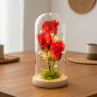 Prix d'usine en gros – Roses éternelles élégantes et préservées sous cloche en verre pour la fête des Pères – Longue durée (3-5 ans)