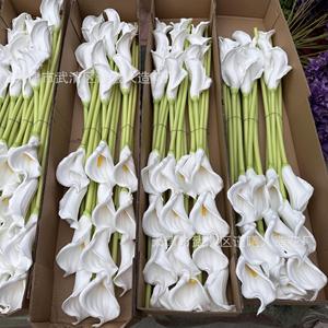 Jinxi - Flores Artificiales de Lirio de Agua de PVC, Ramas Individuales Blancas, Decoraciones para Bodas y Hogar - Product Image 3