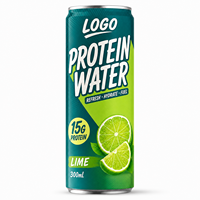 Boisson protéinée hydratante prête à boire sans sucre, fruitée et pétillante, en conserve/bouteille, 15g de protéines, OEM