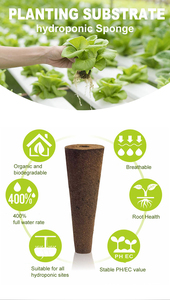 Hydroponics Hệ thống làm vườn hạt giống Pods phân hủy sinh học nhà máy phát triển miếng bọt biển cho các nhà máy seeding - Product Image 4