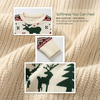 Pull de Noël moche personnalisable unisexe pour homme à manches longues en tricot d'hiver, motif Argyle, respirant, jacquard, ODM
