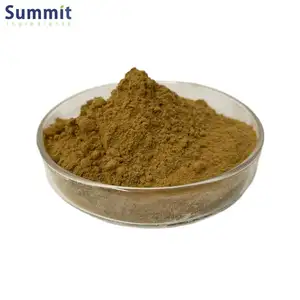 High Quality Natural Radix Angelica Dahurica Extract Powder Angelicae Dahuricae Extract Angelica Dahurica Root Extract