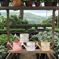 Desain Modern logam berwarna-warni penyiraman dapat dengan bunga gantung dekorasi untuk luar ruangan & tanaman rumah tumbuh