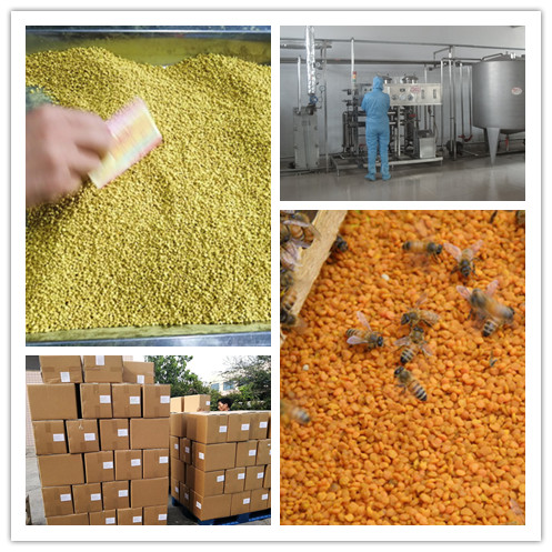 Wholesale 20kg bulk raw pollen mixed bee pollen natural pure wild sunflower