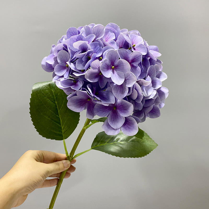 Hortensia violet à une tête, 80 cm