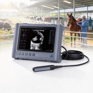 Máquina de Ultrasonido Veterinaria a <span class=keywords><strong>Precio</strong></span> Competitivo, la Mejor Máquina de Ultrasonido para Mascotas - Product Image 1