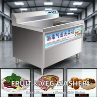 Frisse fruit- en groentewasmachine met luchtbellen en motor, 220V, 4kW vermogen