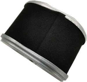 Elemento filtrante dell'aria per <span class=keywords><strong>Coleman</strong></span> <span class=keywords><strong>CT200U</strong></span>, Baja MB165 MB200 Mini Bike - Product Image 4