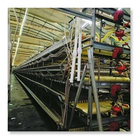 Cage à poules pondeuses de type H à haute capacité de production avec grillage métallique, sortie d'usine, pour 10 000 oiseaux, état neuf, cages pour animaux pondeuses