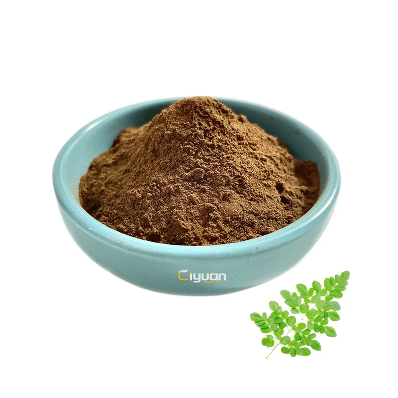Ciyuan fabrika yüksek kalite tüm satış doğal Moringa yaprak ekstresi Moringa özü Powder10:1 kapsül