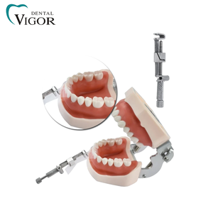 Matrices dentaires professionnelles en acier inoxydable, outils de maintien universels Tofflemire, dentisterie restauratrice - Product Image 6
