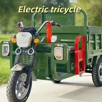 Kart électrique tout-terrain 750W 48V pour adultes avec batterie 20Ah, moteur BLDC, transmission par arbre, buggy des dunes, utilisation en extérieur, 70 km/h, charge 200 kg