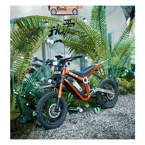 バイク36V250W9AHパワフルな電動バイクオフロード電動ダートバイクSuronEbike MountainEbike