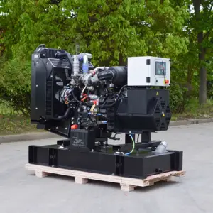 Voor Canada Met Epa Open Of Stille Type 15kva Diesel Generator Aangedreven Door Perkins Motor Met Stamford Dynamo